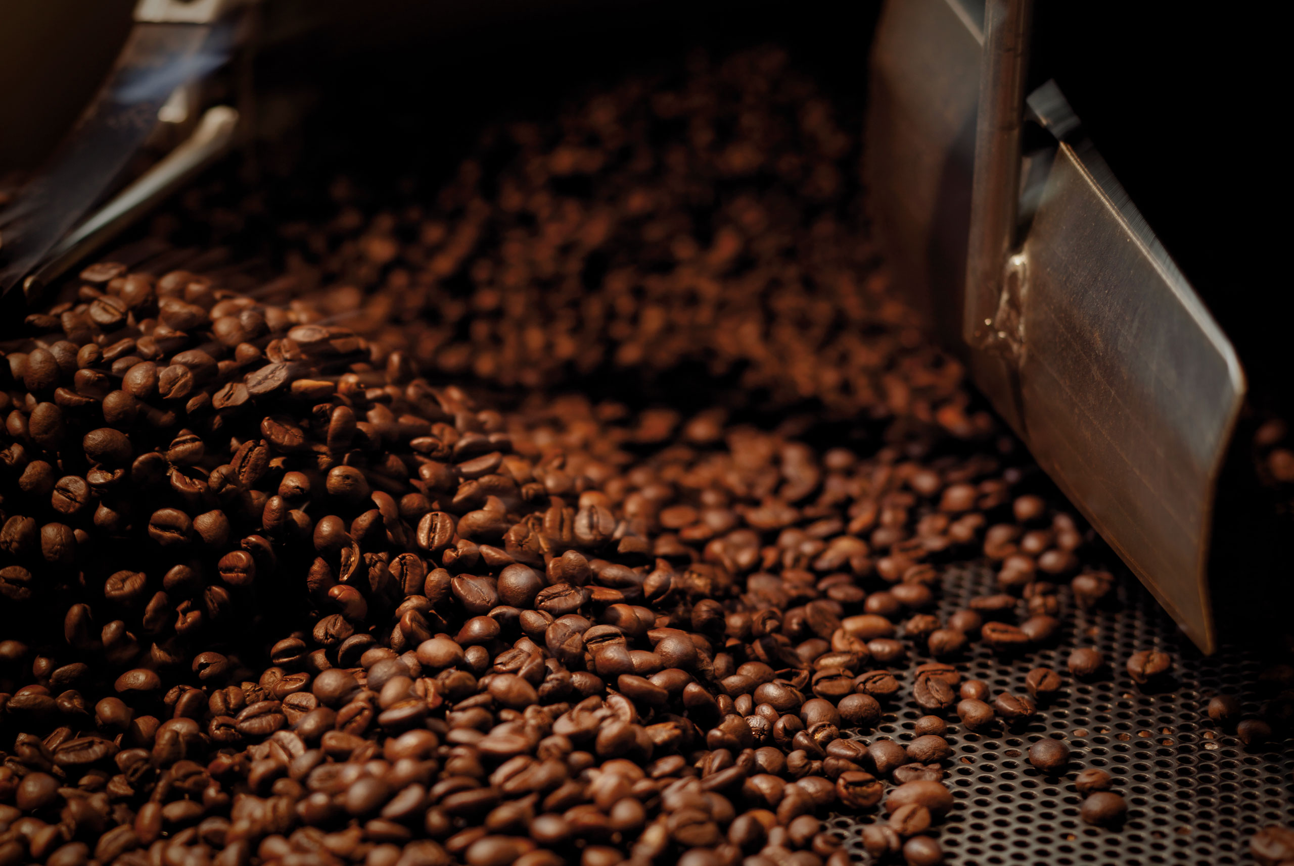 sldesign caffepol branding